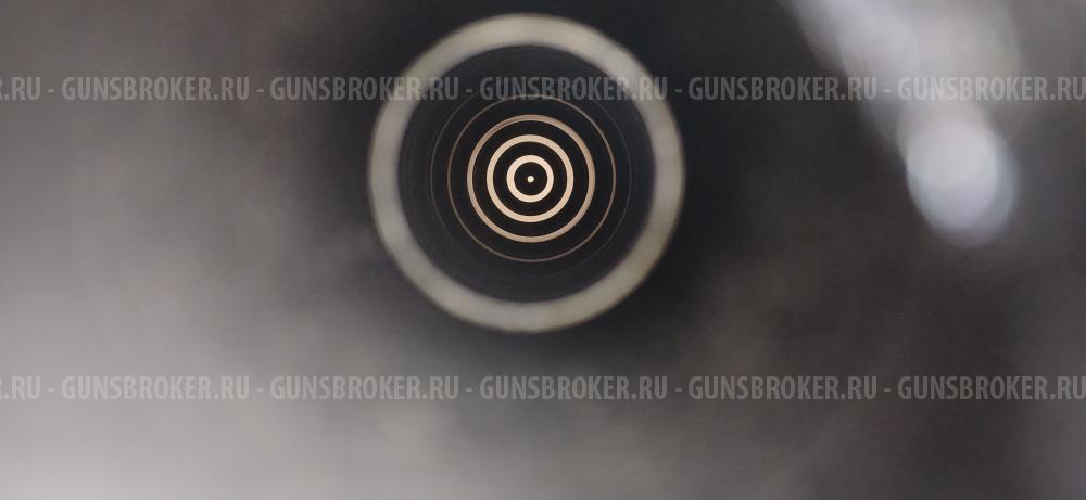 Ружье Beretta ES100