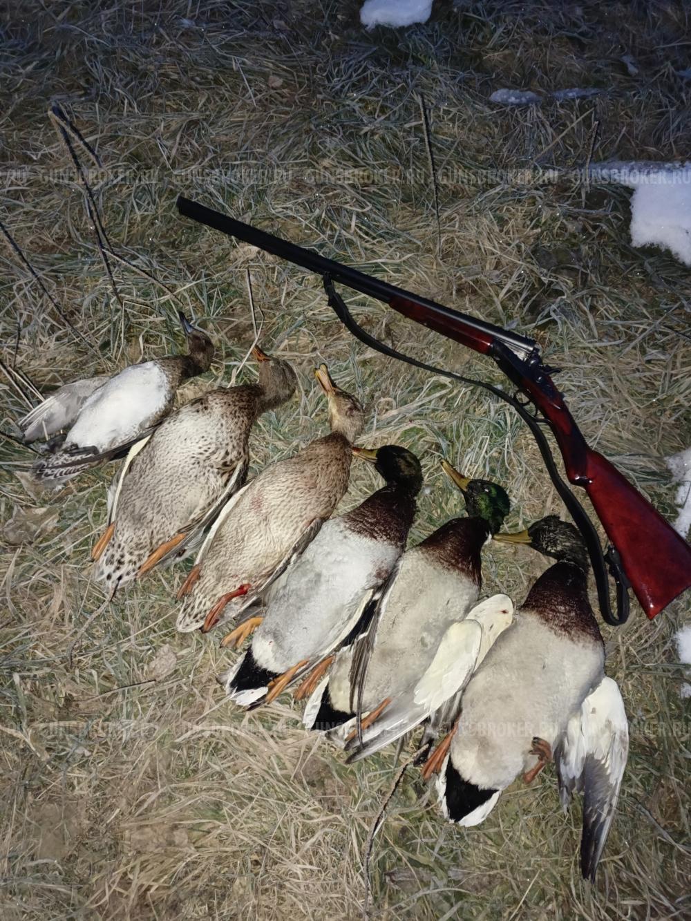 Ружьё тоз бм 20 калибра