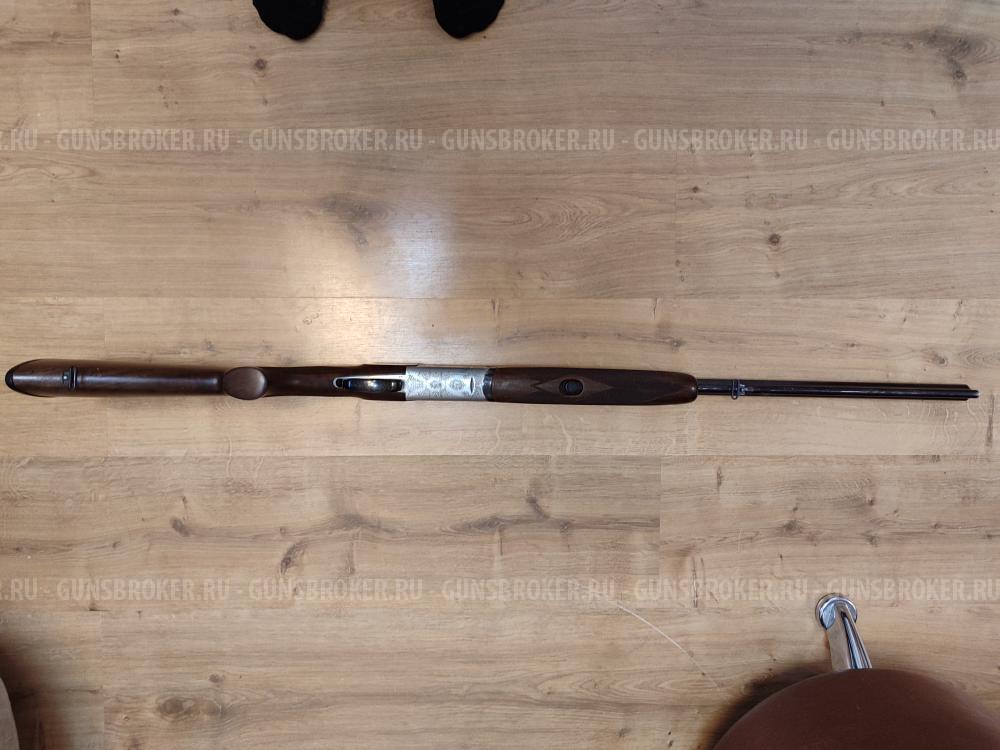 Sabatti forest 12/223