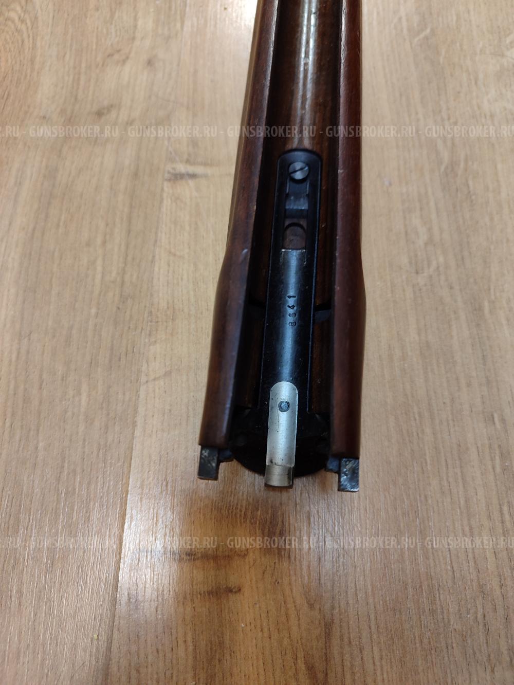 Sabatti forest 12/223