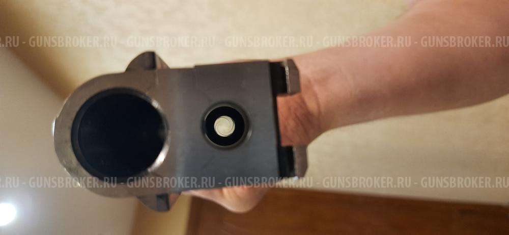 Sabatti Forest 12/308