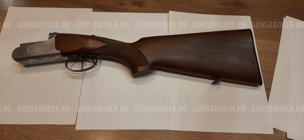 Sabatti Forest 12/308