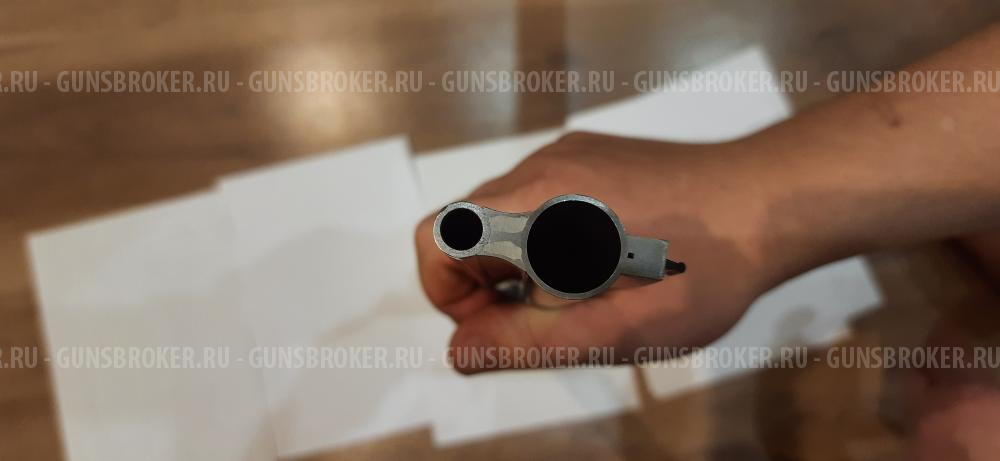 Sabatti Forest 12/308