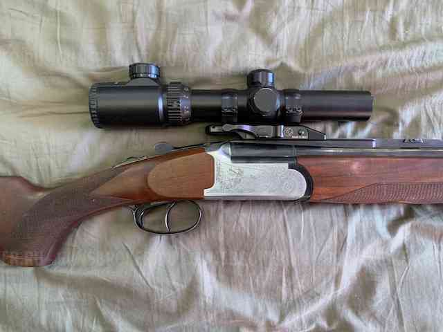 Sabatti Forest 222 / 20/76