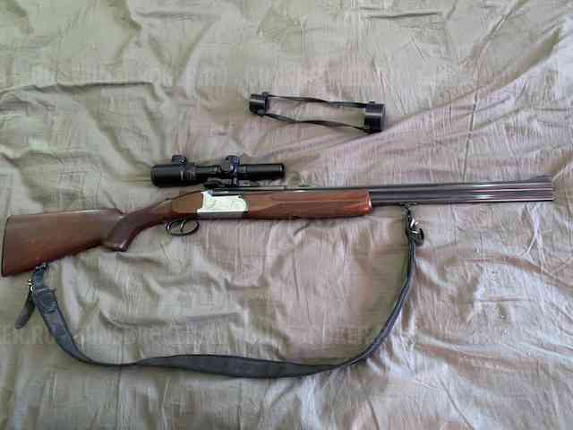 Sabatti Forest 222 / 20/76