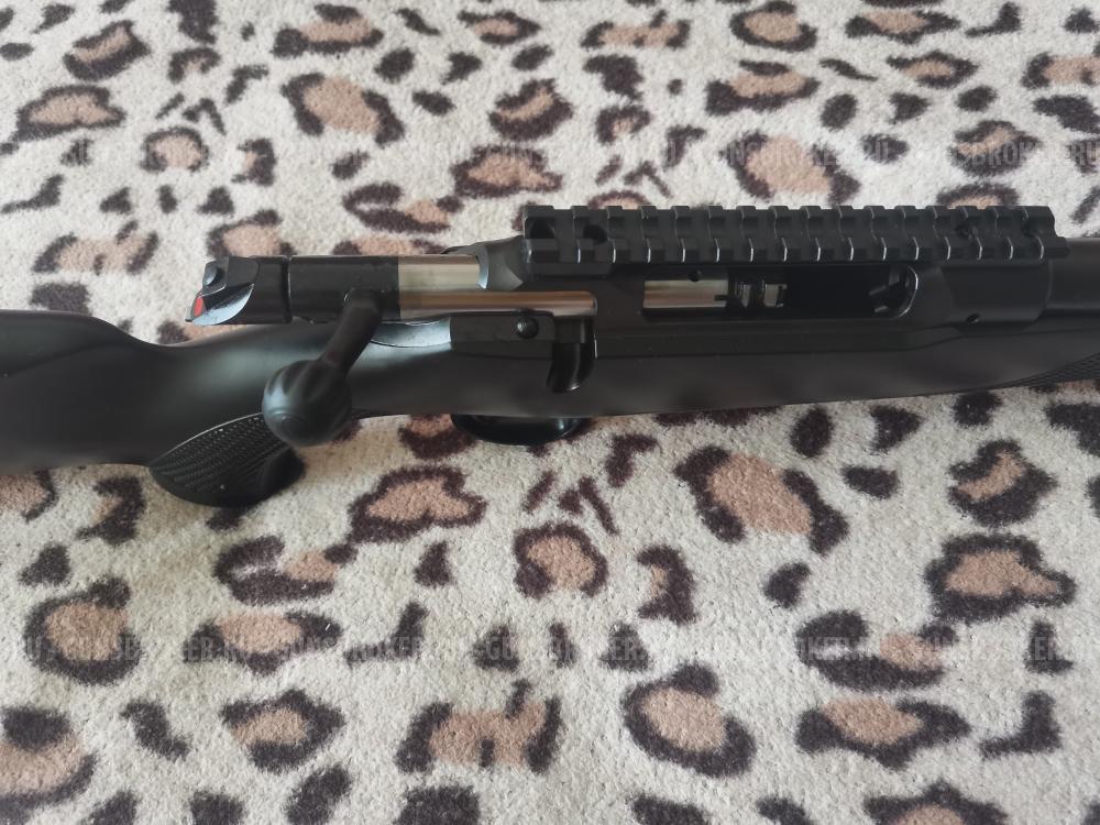 SAUER-101   30-06 Sprg