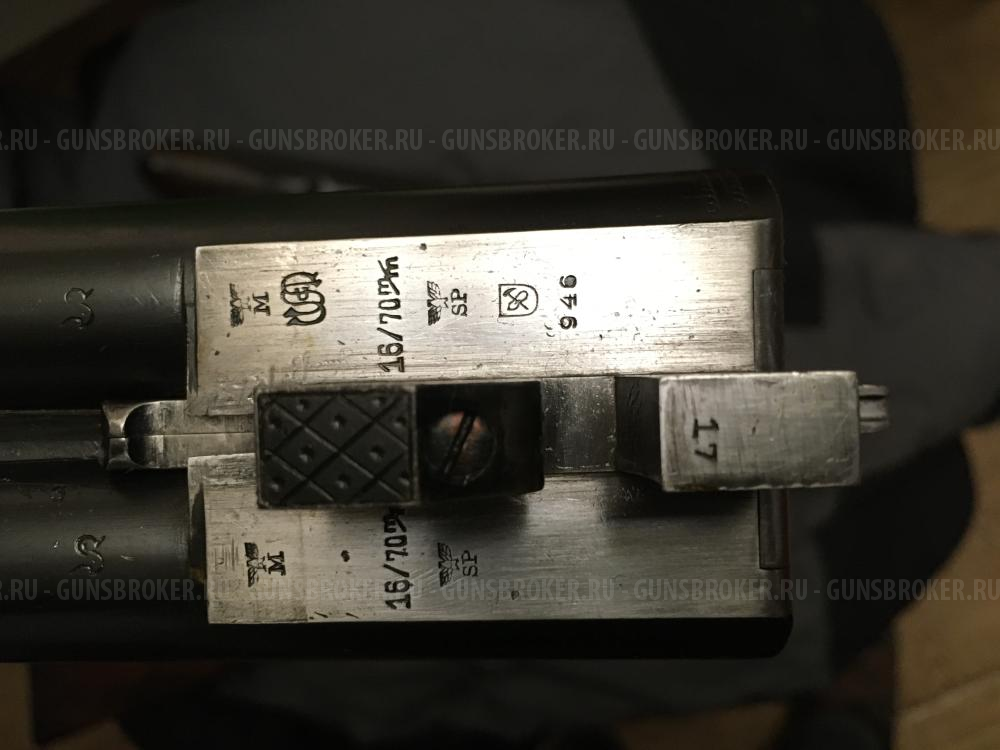 SAUER-17