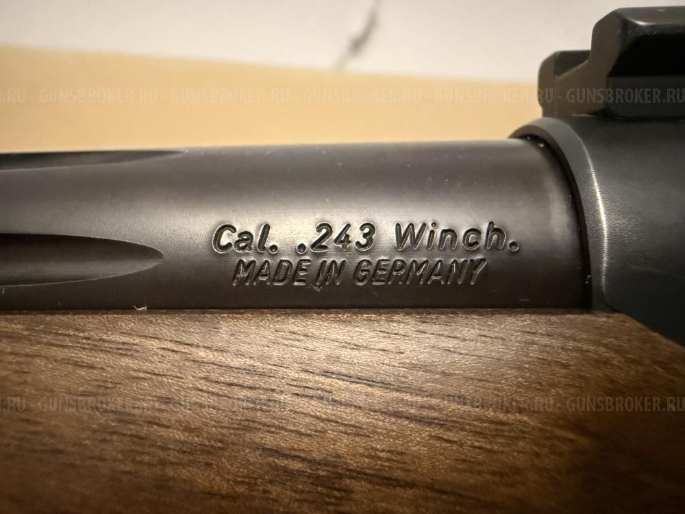 Sauer 202 Wolverine 243win