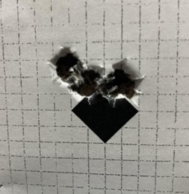 Sauer 202 Wolverine 243win