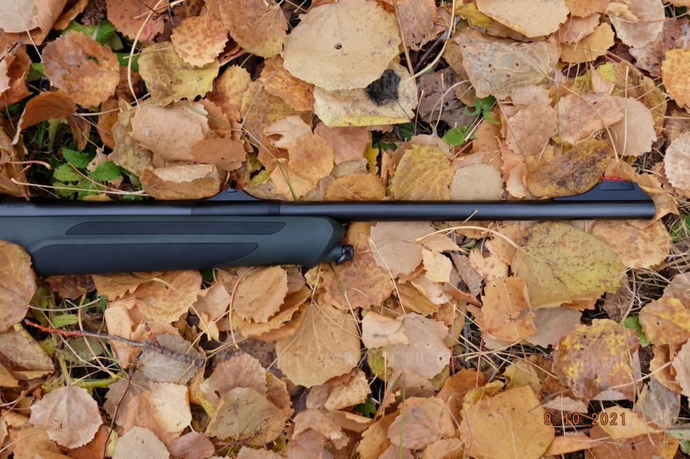 Sauer 303 Зауэр