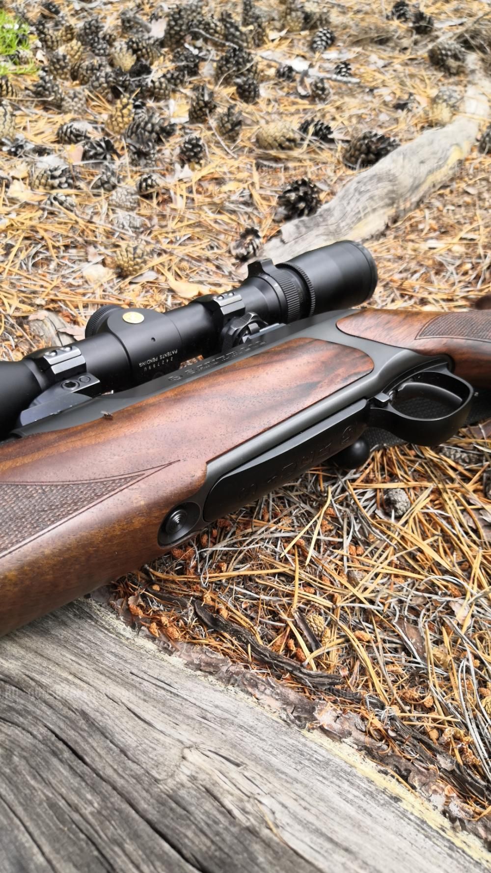 SAUER S202