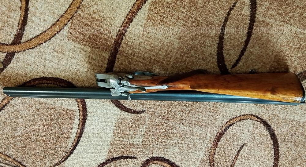 SAUER