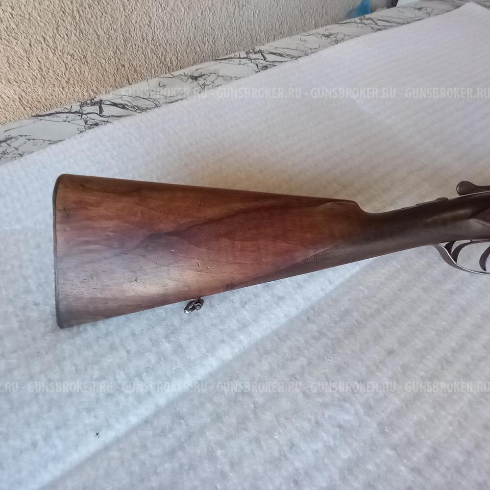 Sauer
