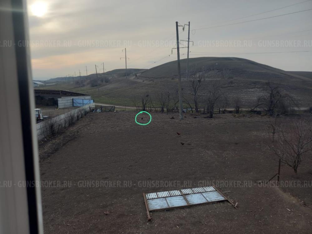 Сайга 7,62/39, дерево под СВД, с оптикой