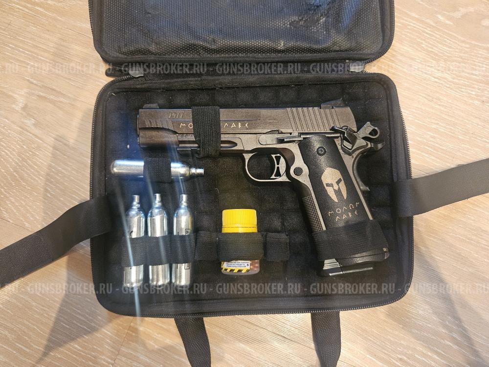 Sig Sauer 1911 Spartan