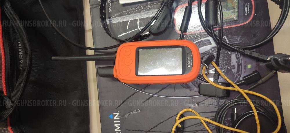 Собачий навигатор Garmin Alpha 100 с ошейником TT15 EU