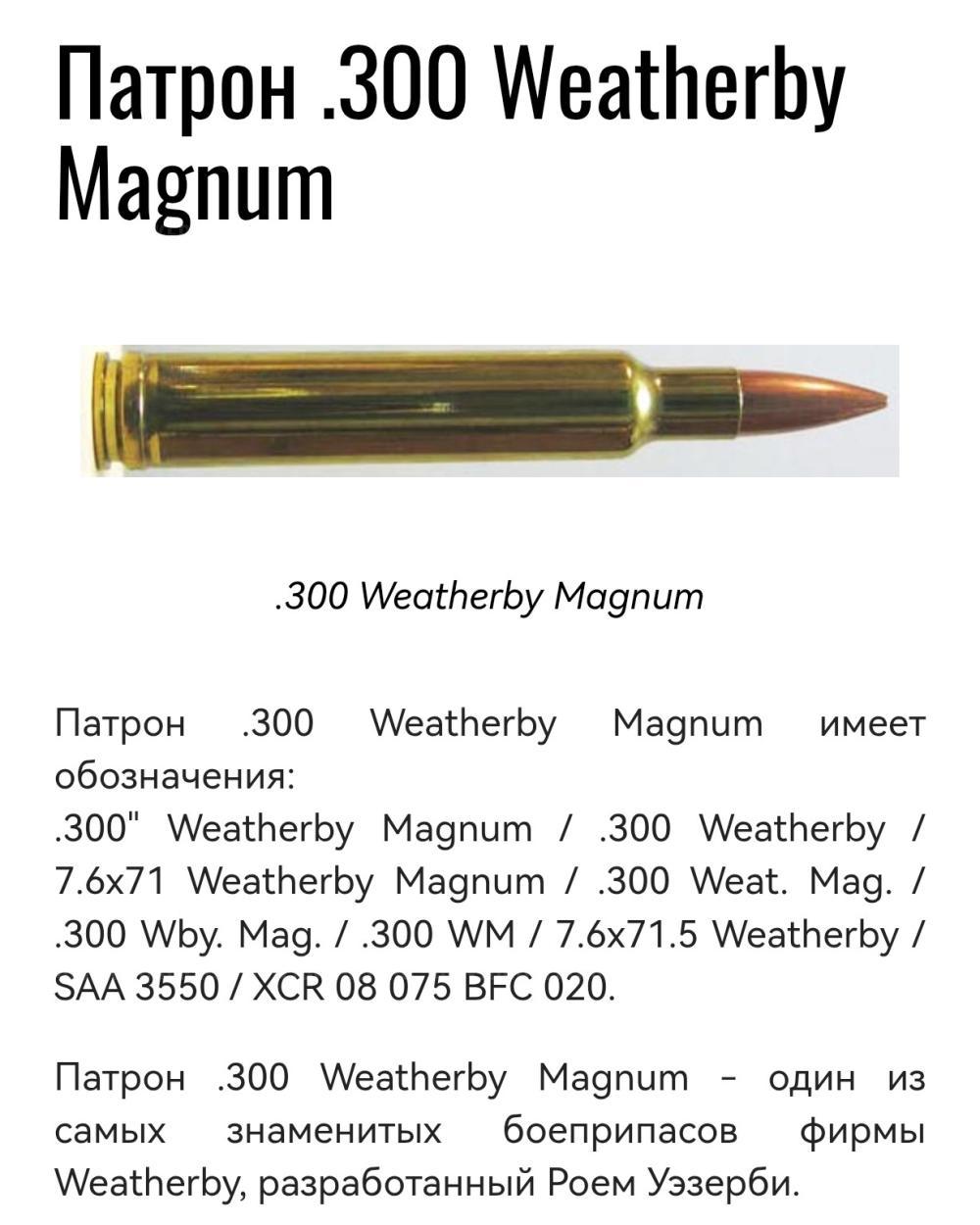 Steyr Mannlicher SBS pro hunter Carbon калибр 300WBY Magnum