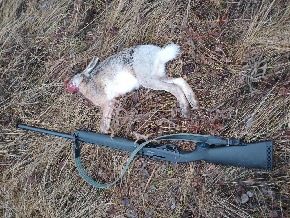 Stoeger М3000 (12х76) ствол L=760мм