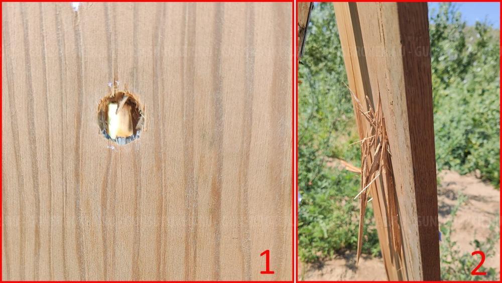 FT 9PA (Tanfoglio INNA) к.9мм Р.А. (2010) Италия