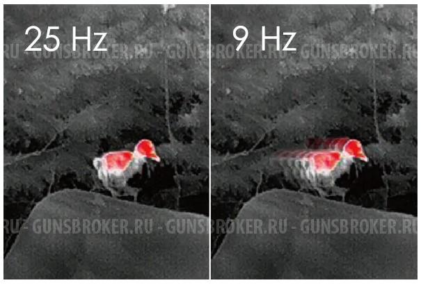 Тепловизор iRay DV DP09