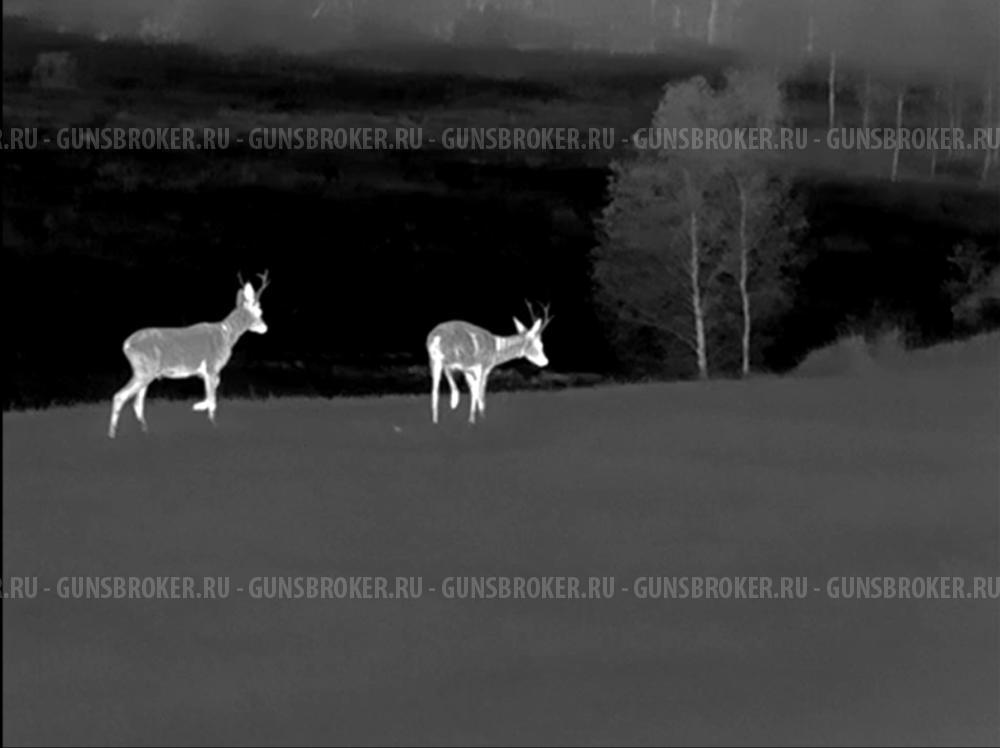 Тепловизор Sytong RM 06-50 LRF