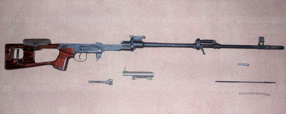 Тигр 01