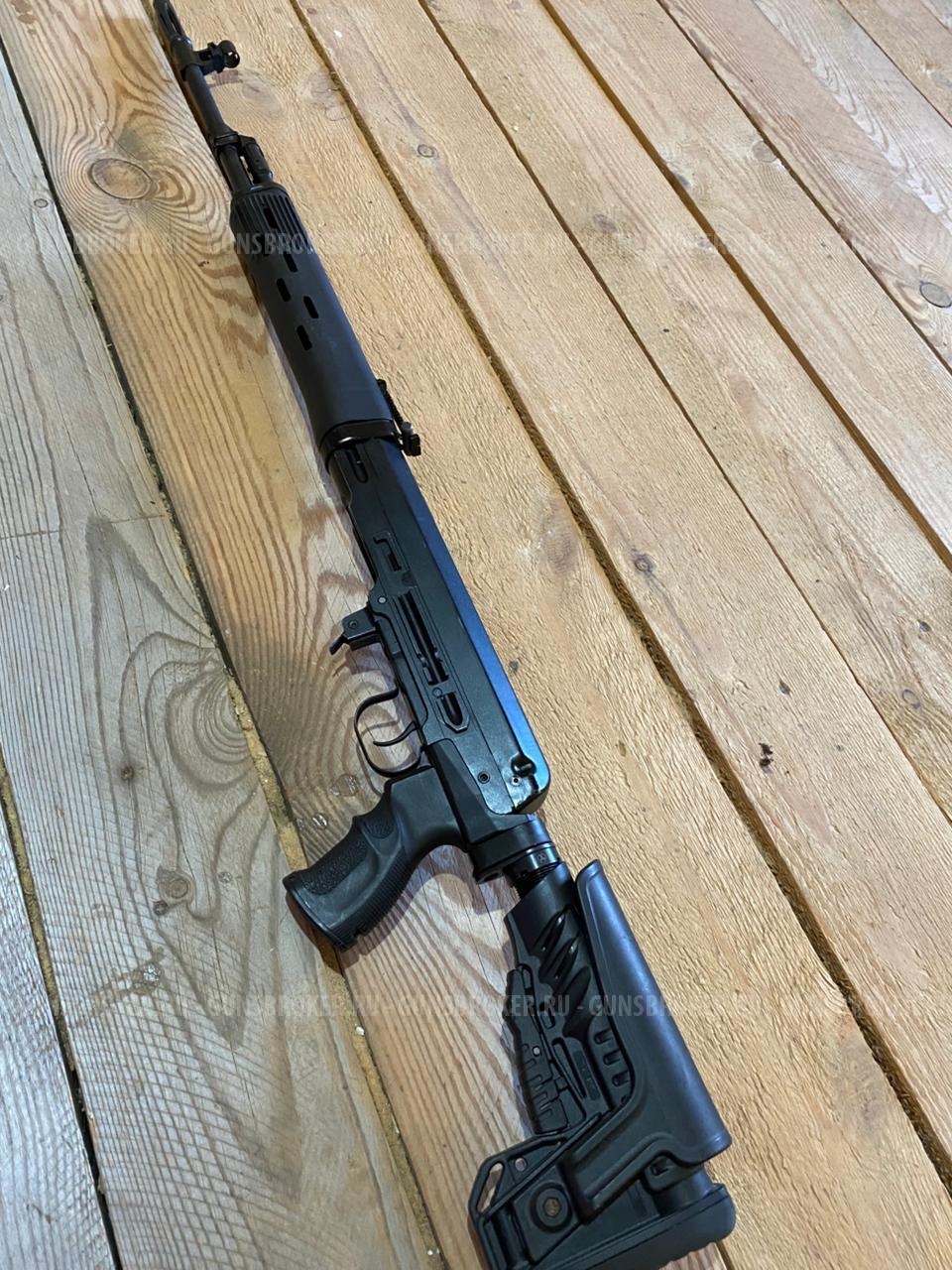 Тигр короткий