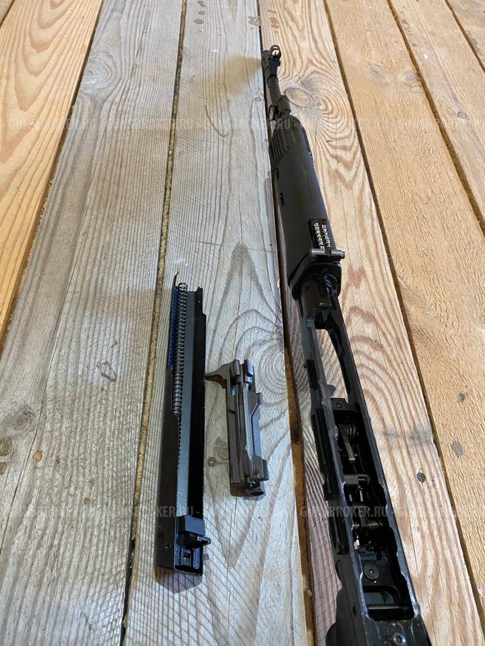 Тигр короткий