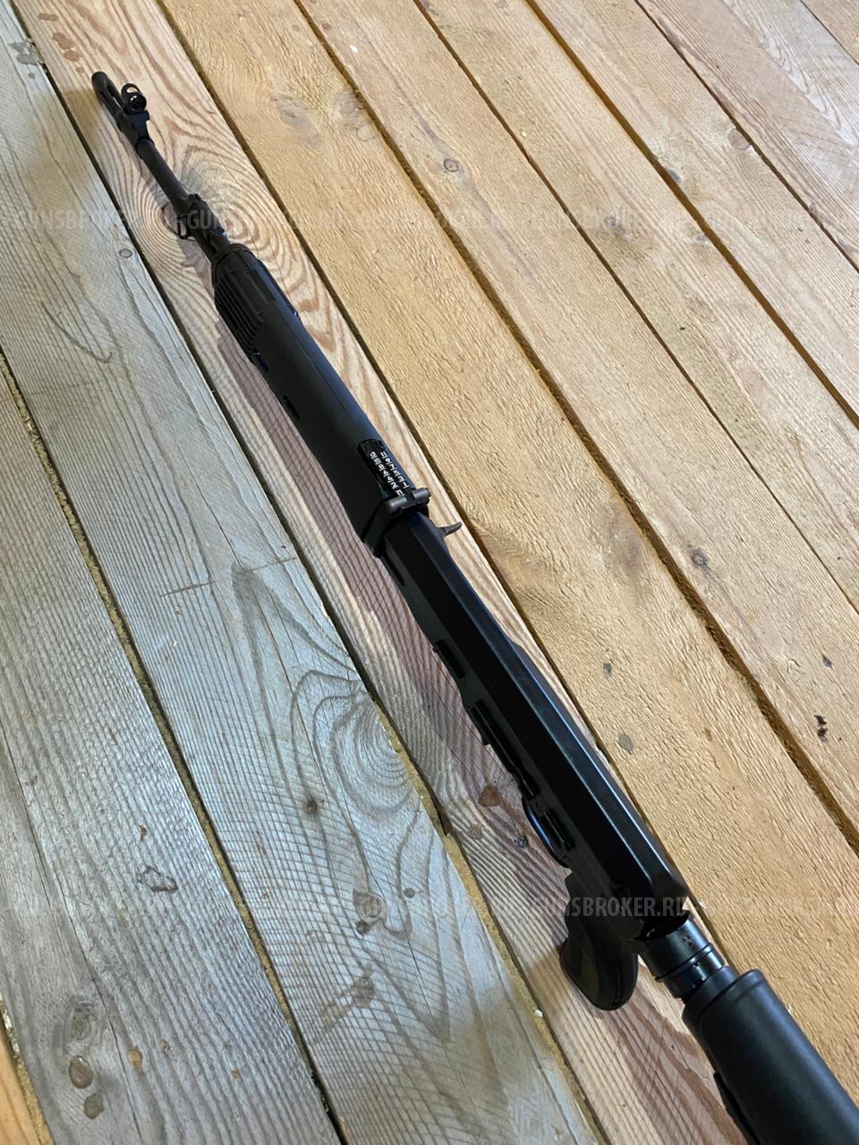 Тигр короткий