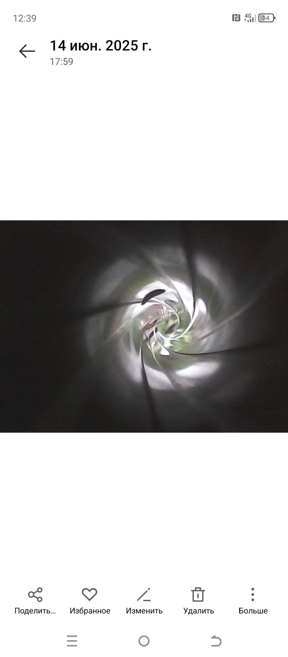 Тигр экспортный «Вермонт» 