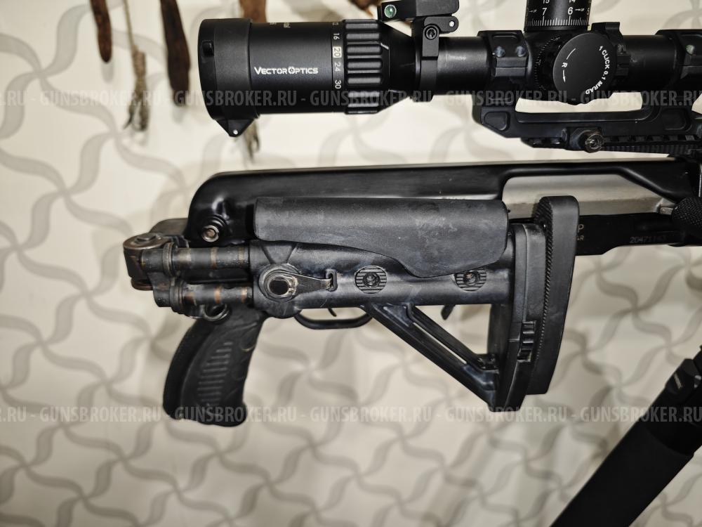 Тигр коротыш в обвесе