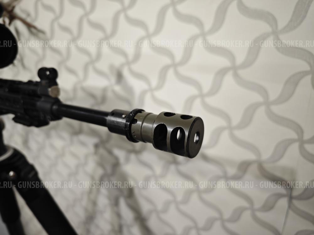 Тигр коротыш в обвесе