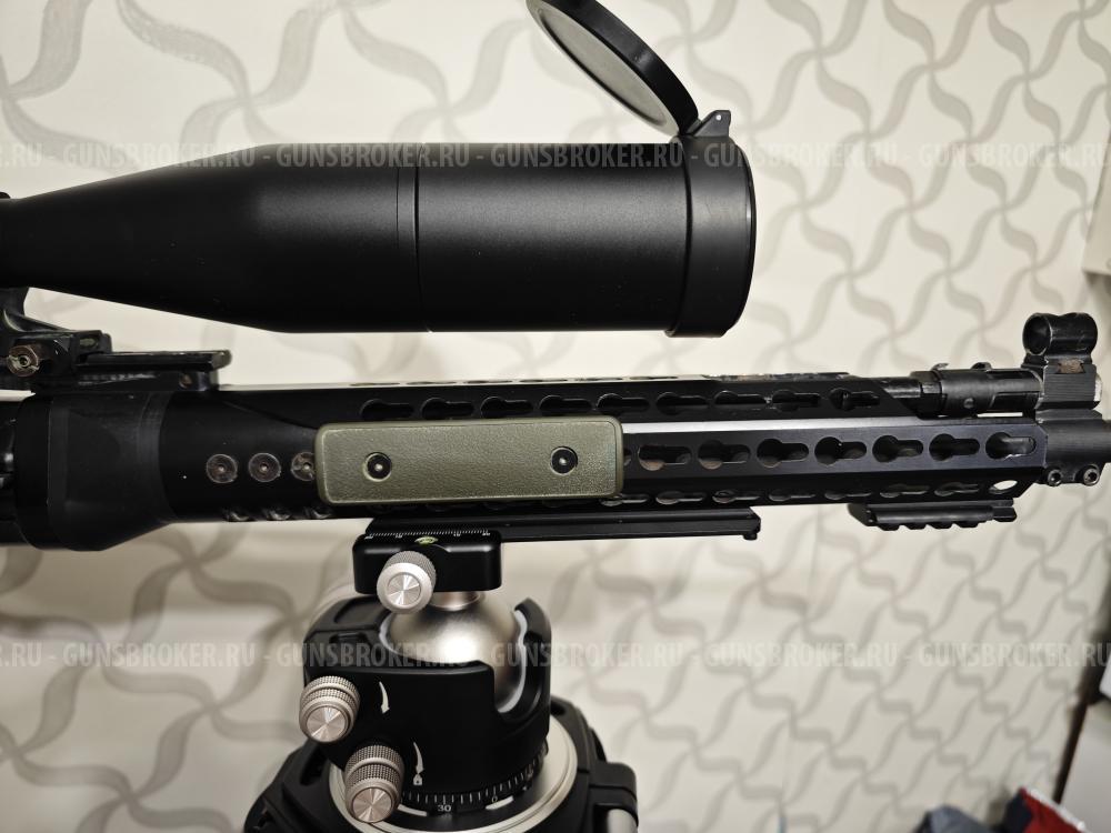 Тигр коротыш в обвесе