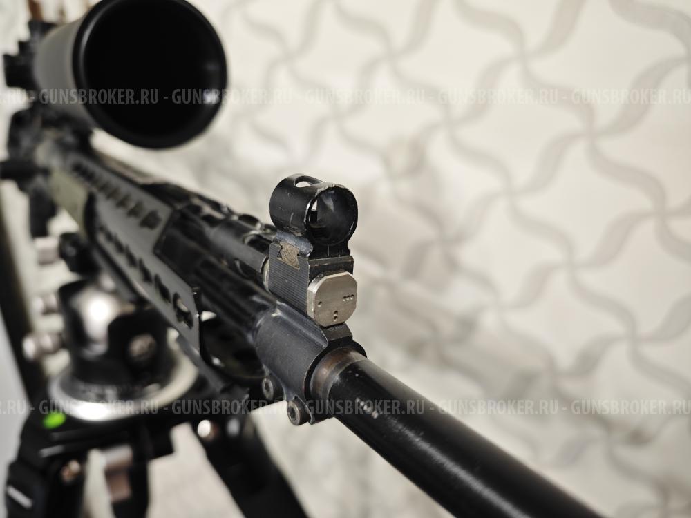 Тигр коротыш в обвесе