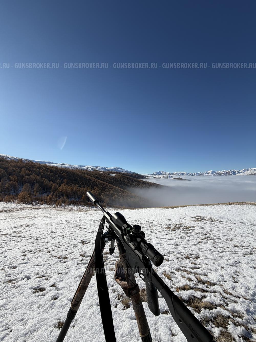 Tikka T3x CARBON MDT 300 win mag 