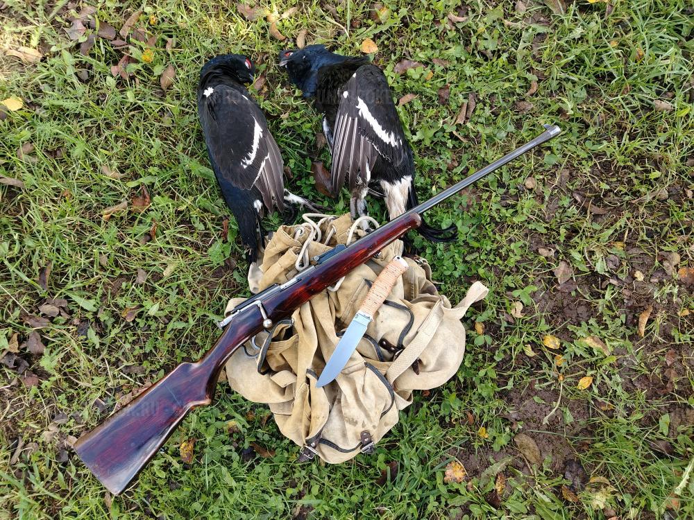 ТОЗ-16 карабин однозарядный