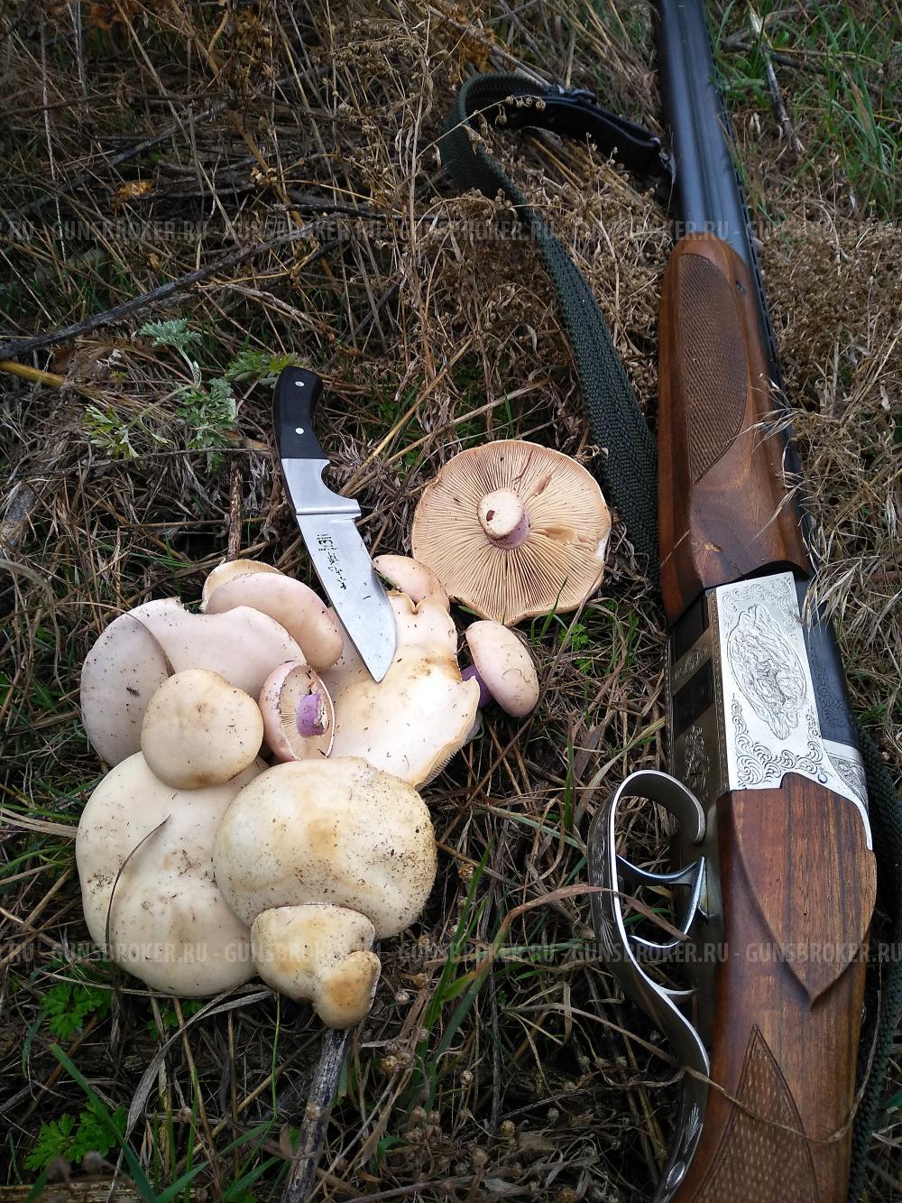 Тоз 34 штучное