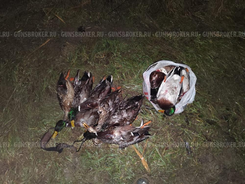 ТОЗ-34ЕР Добычливый