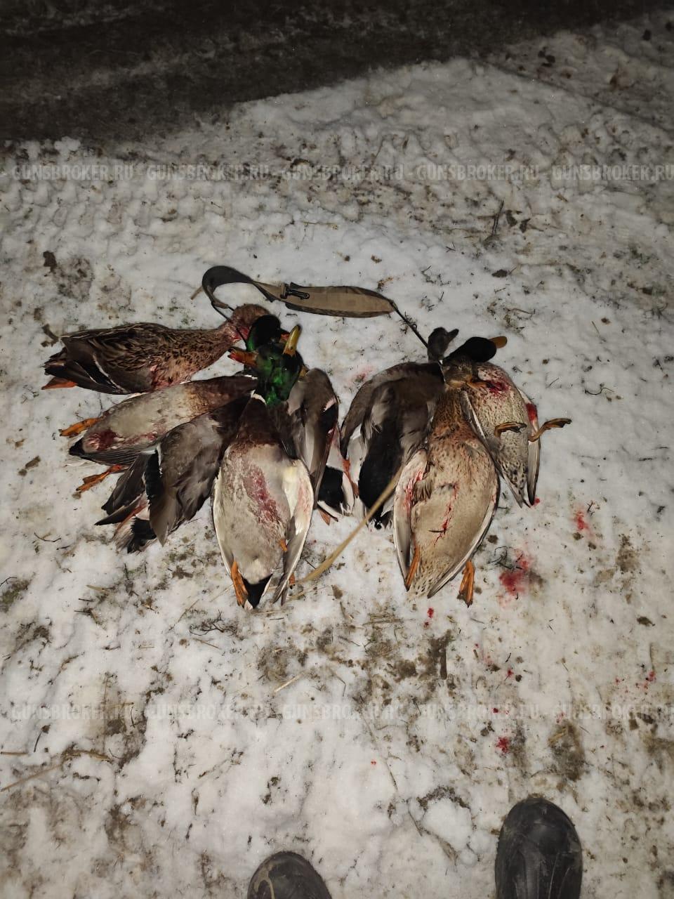 ТОЗ-34ЕР Добычливый