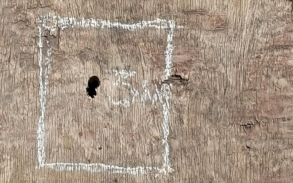 Травматический пистолет ШАРК, калибр 9 РА, производство Турция. Магазин на 6(+1) патронов.