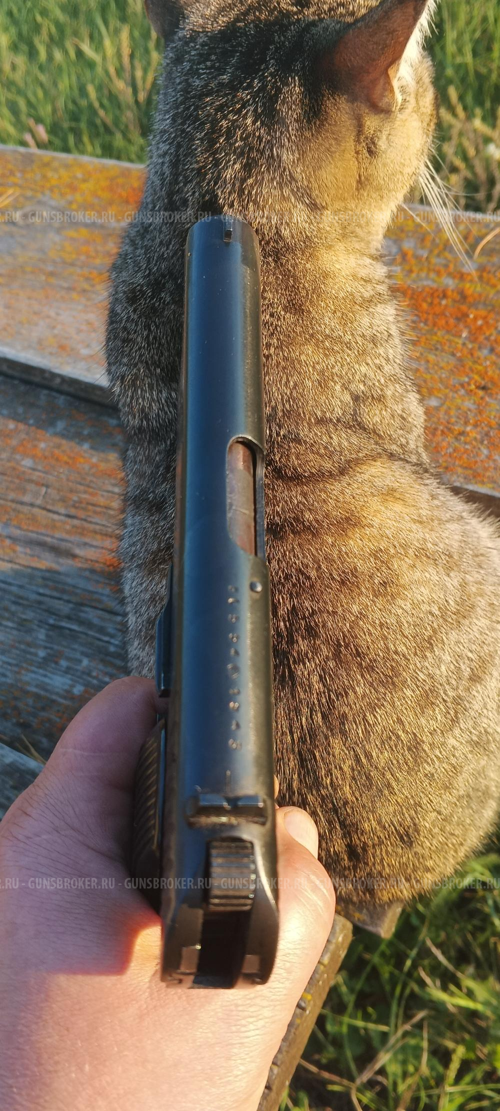 ТТ с под жевело