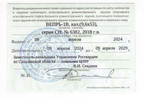 Вепрь 1В (ВПО-222-01), калибр 9,6х53