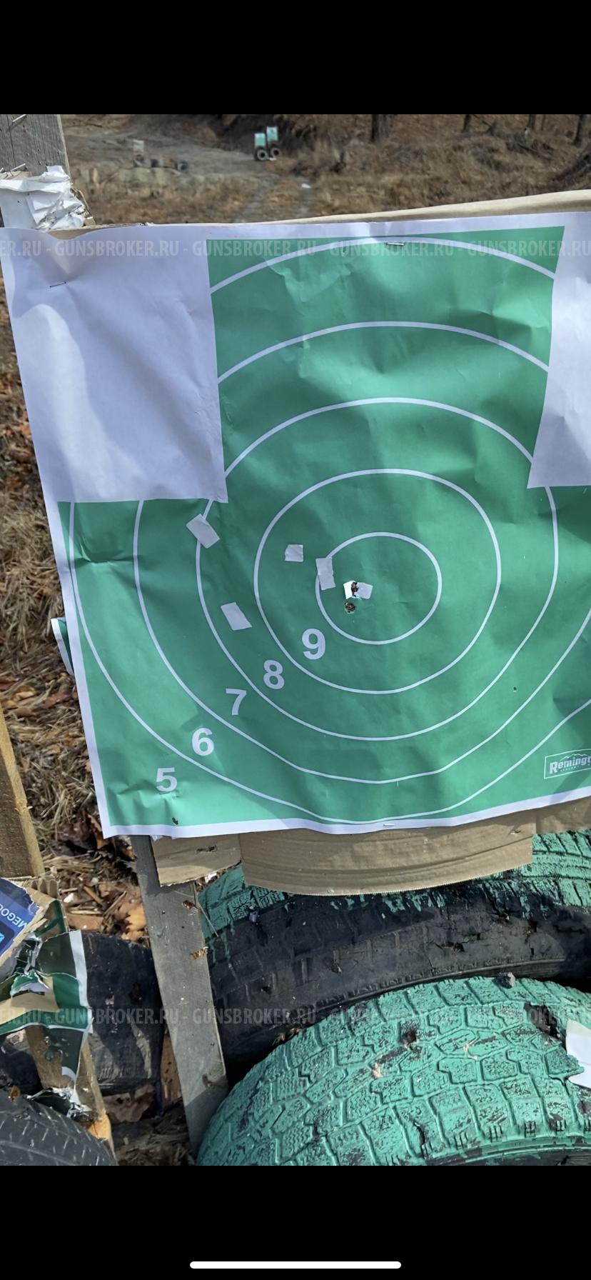 Вепрь 308
