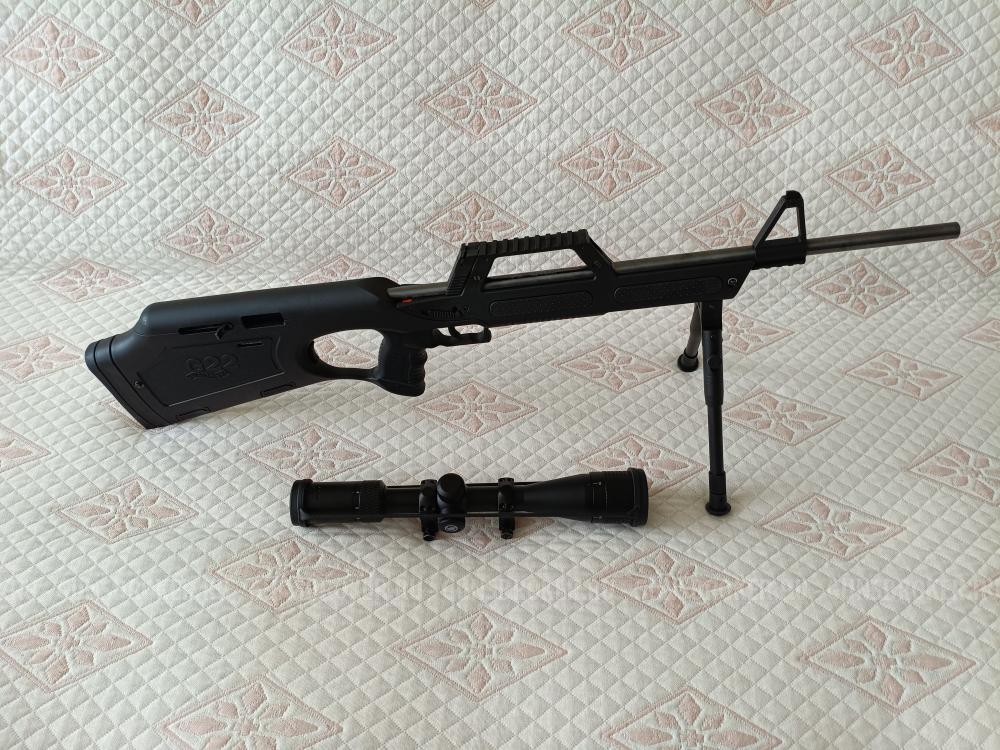 Walther g22