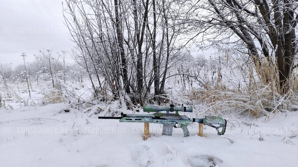 Wild boar custom 308win