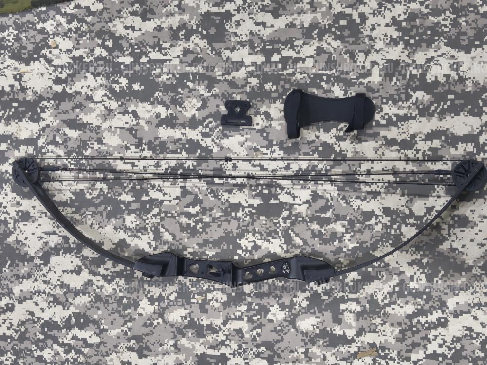 Youth compound bow