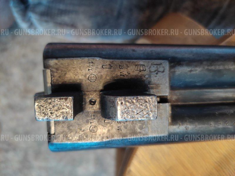 ЗАУЭР 3 кольца